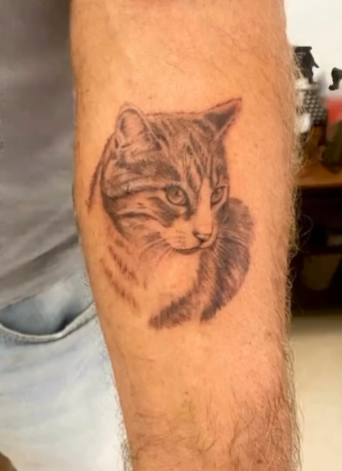 Tatouage portrait chat réaliste — Blackthorn Tattoo Campos Majorque